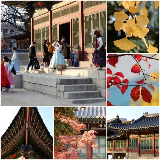 Deoksugung Palace in automn colors