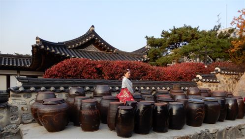 Namsangol Hanok Village beauty