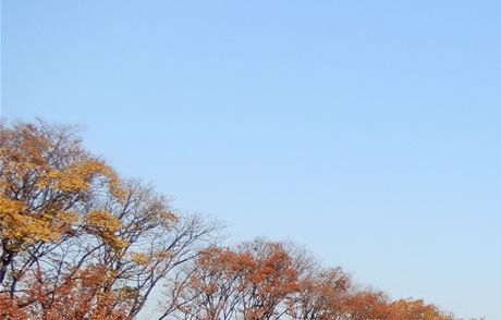 The Namsan Park