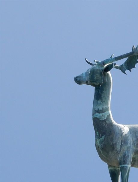 The platoni deer of Rhodes.