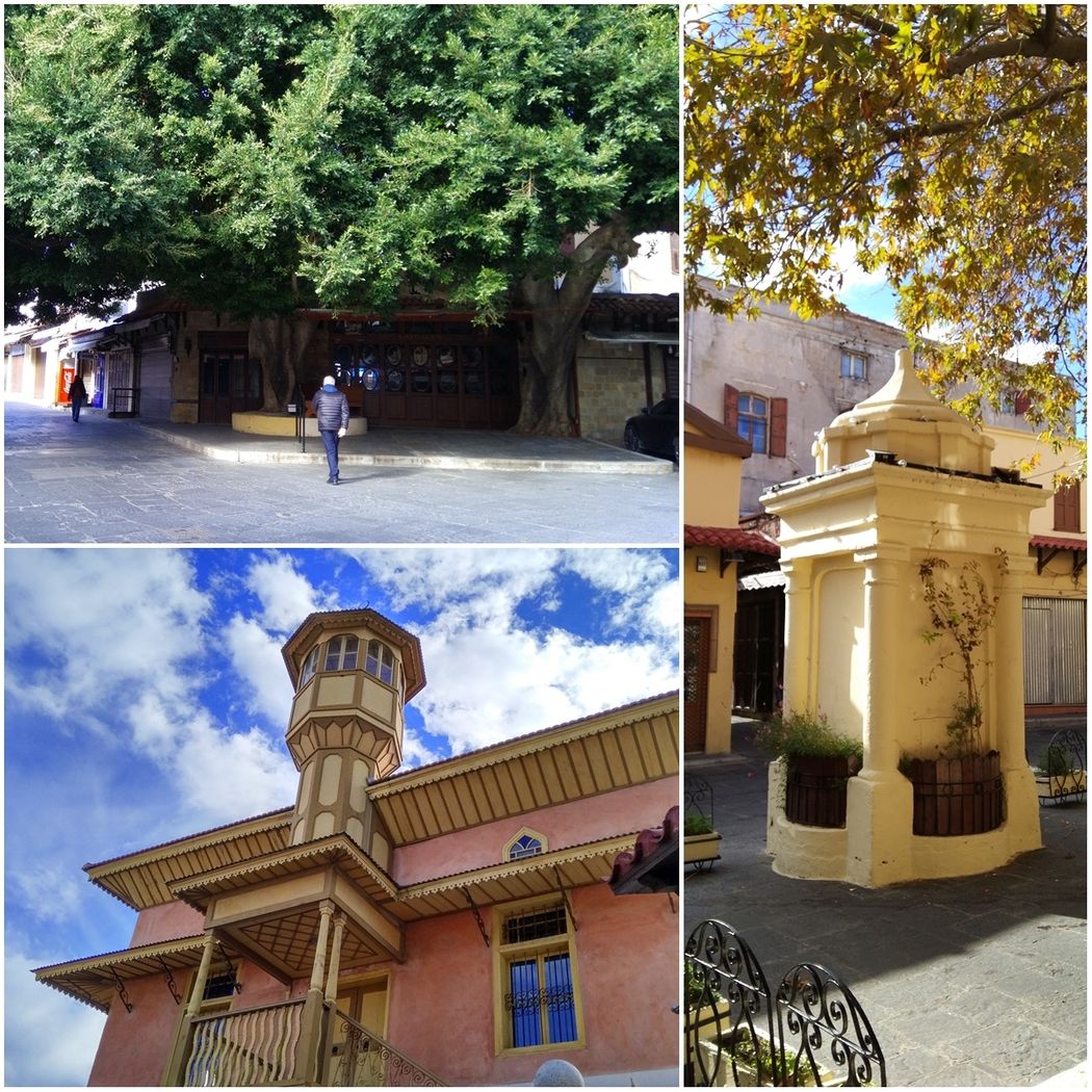 Sokratous street.  The huge ficus trees in the middle of the street (top left); Mehmet Aga Mosque, built in 1820 (bottom left) and a fountain at the lower end of the street (right).