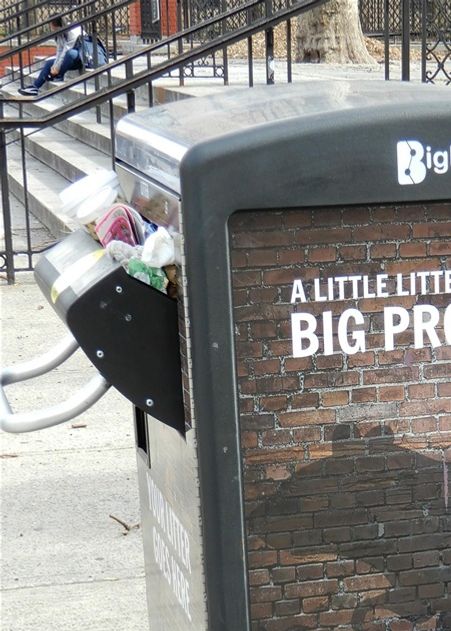 Rats?  Litter?