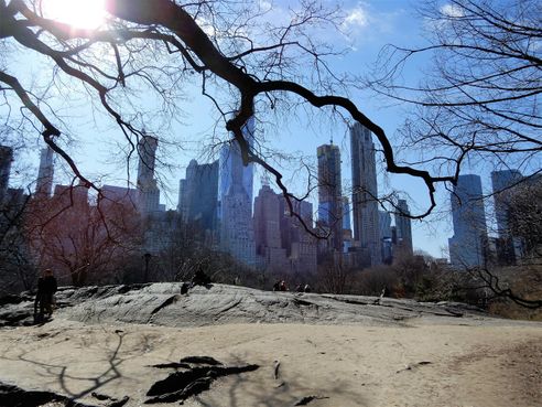 Cityline seen from the southern Central Park.
