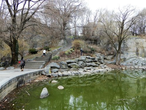 Morningside park pond.