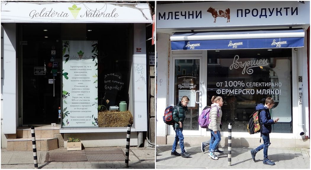Icecream and yogurt at Shishman Street.