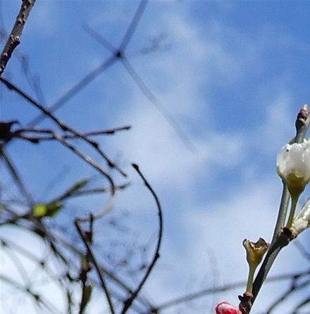 Spring (take #2) is equally wonderful season to visit Sofia.