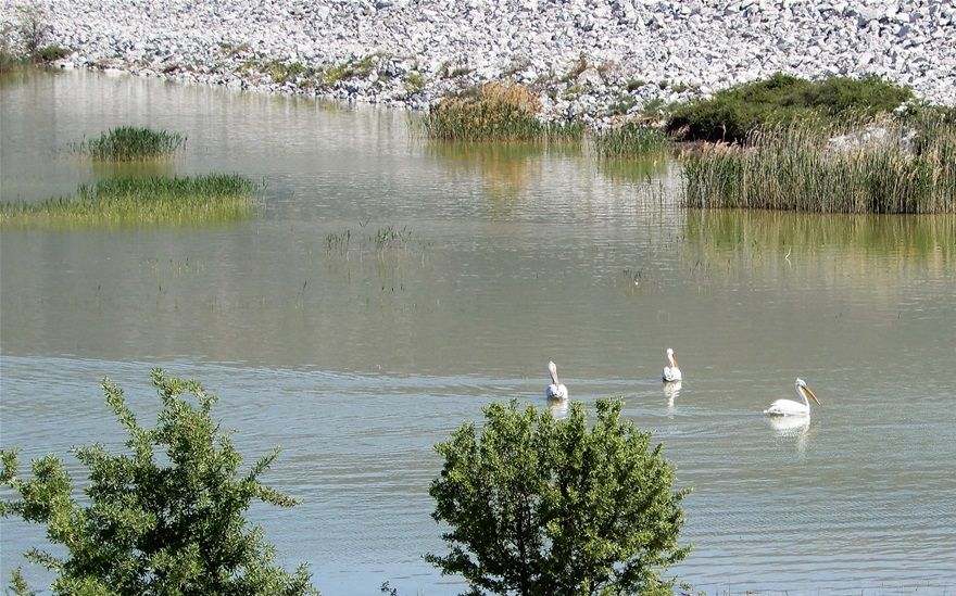 Lake Karla: a birdwatcher’s paradise.