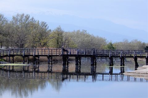 A wooden bridge connecting the beach to the mainland.