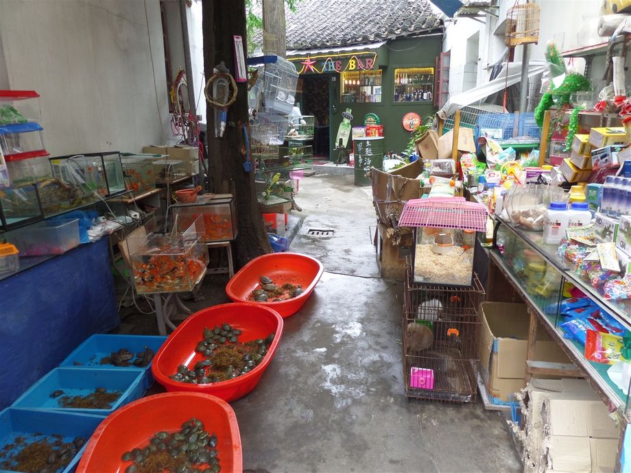 A bar at the back of a pet shop.