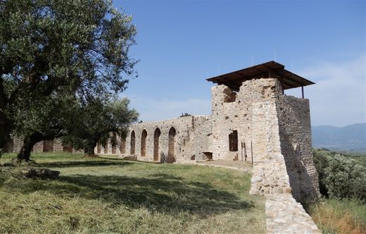 The Androusa castle.