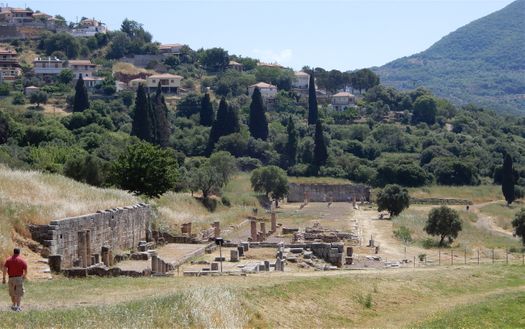 The Agora (market) extends about 200 m northwest of Asklepieion and about 50 m east of the Theater. Built a little earlier than the Asklepieion (mid 3rd century BC), it continues to function as a commercial market alongside the Asclepieion, which moreover assembled political functions. Agora occupied an area of 186 x 176 m. It was 4 times larger than the Asklepieion. In this area the traveler Pausanias saw the sanctuaries of Zeus Savior, Poseidon and Aphrodite.