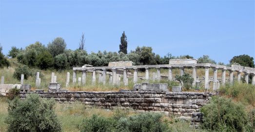Next to the stadium are saved the columns from the Gymnasium which cover a large area that includes galleries, a palaestra, rooms and temples. At the Gymnasium were found lists of athletes and trainers, inscriptions and offerings from which important information was extracted.