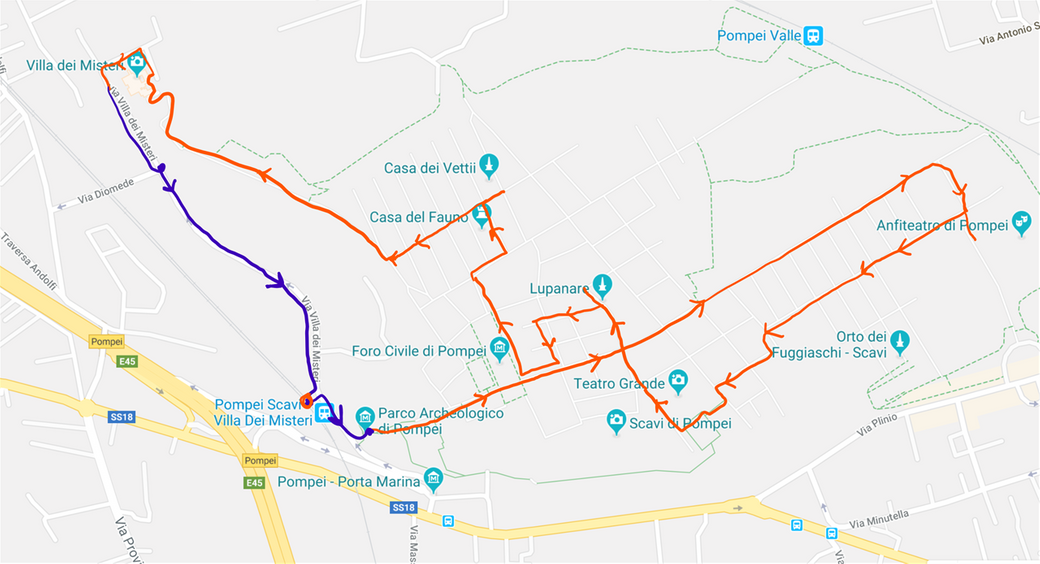 The itinerary I followed in the archeological site (red line).  It is an arbitrary walk of about 3 hours.  I exited from Villa dei Misteri exit and walked back (purple line) to the train station on a road outside the site limits.