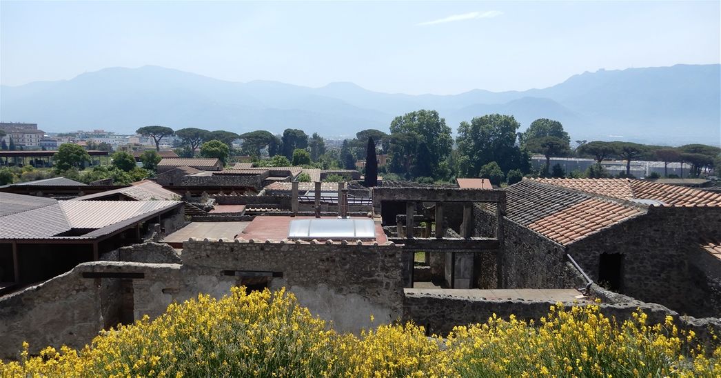 View from the top of the hill.