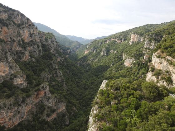 Typical gorge of the area.