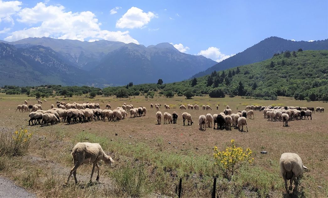 Helmos seen from the south.