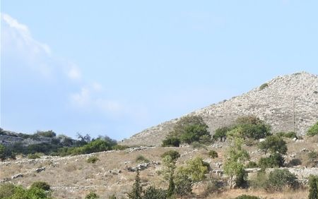 Lagia.