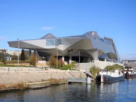 Musée des Confluences seen from the south.