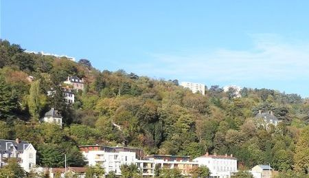 View of the west bank of Saone River.