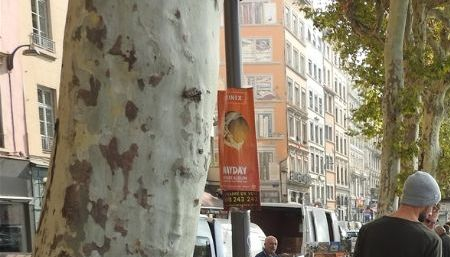 The open book fair near Pont de la Feuille.