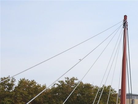 Passerelle du Palais-de-Justice and the sculpture 