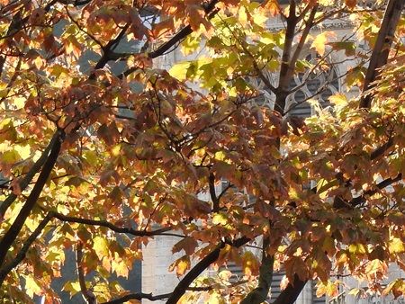 Cathedral Saint-Jean seen from across Saone River.