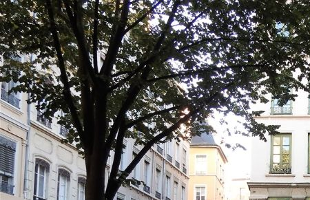 Avenue du Doyenné.  The old pharmacy and the monument of the creator of Guignol, Laurent Mourguet.