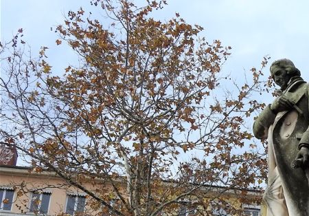 The statue of Joseph Marie Jacquard at Place de la Croix-Rousse.
