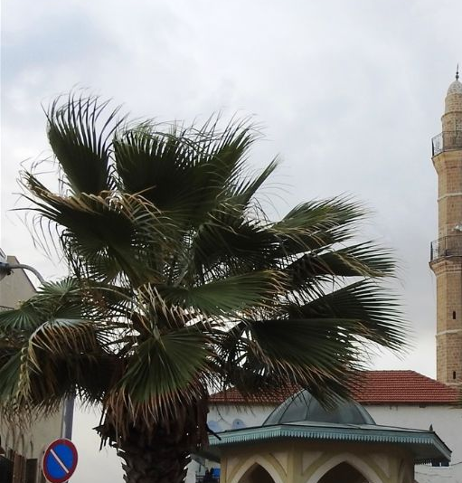 Mahmudiyya Mosque seen from Russlan street. The entrance to the mosque can be seen at the left side.  In the foreground stands a typical sebil kiosk-well.