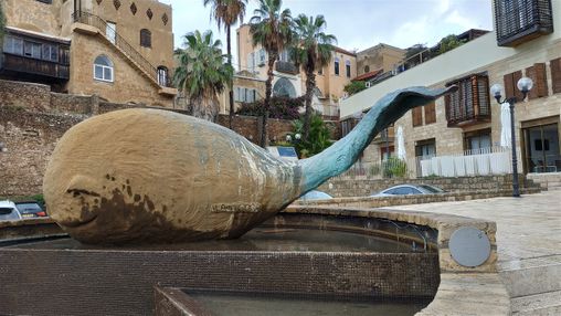“The Smiling Whale”.