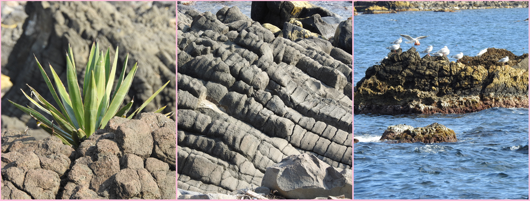 Volcanic seaside rock formations!