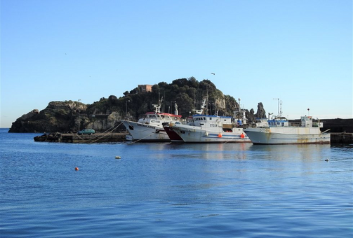 Lachea Island seen from Aci Trezza harbor.