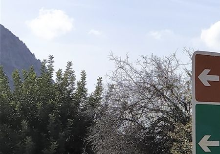The road sign (after you pass Ano Karnezeika settlement) towards Avgou Monastery.