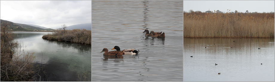 Moustos wetland.