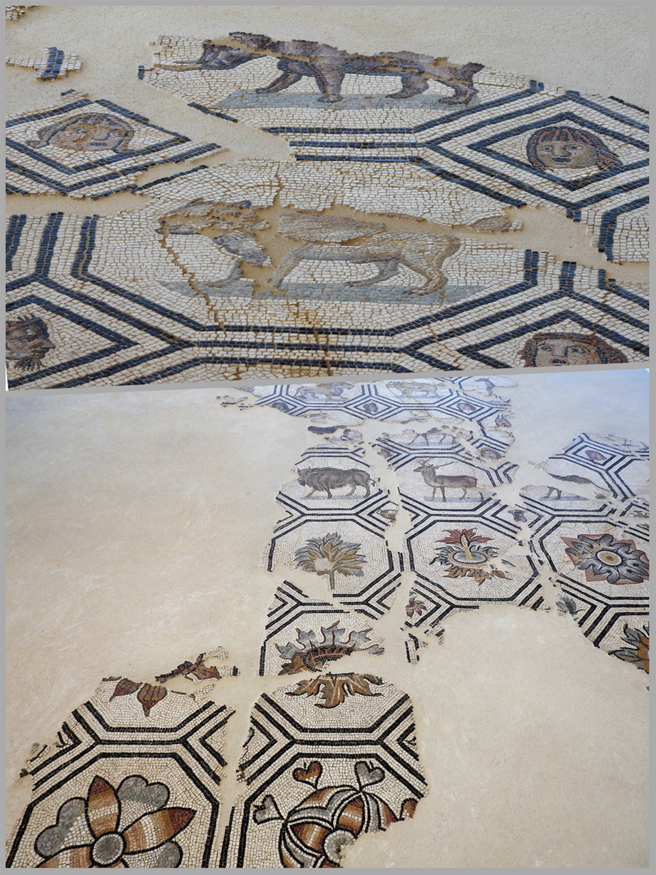 Details from the moisaic of 