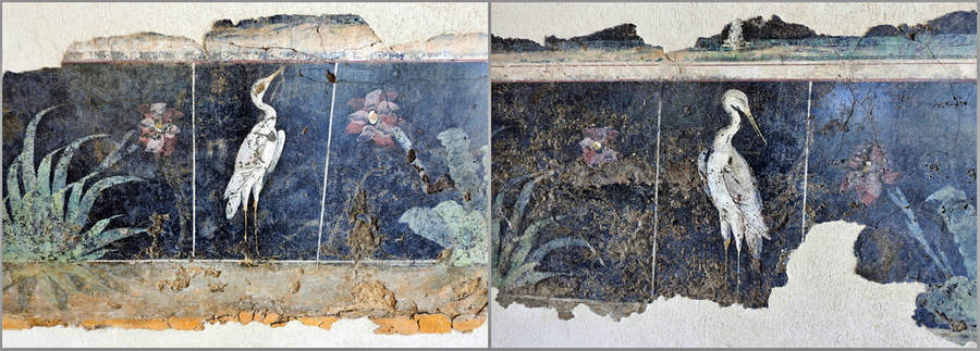 Frescos from a Roman house.