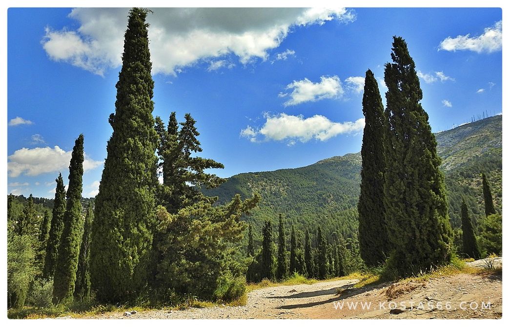The monastery is built in a beautiful forest with pine and cypress trees, crisscrossed by several hiking trails.