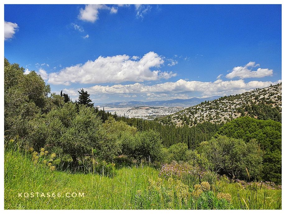 View from Taxiarchon Hill. Athens in the background.