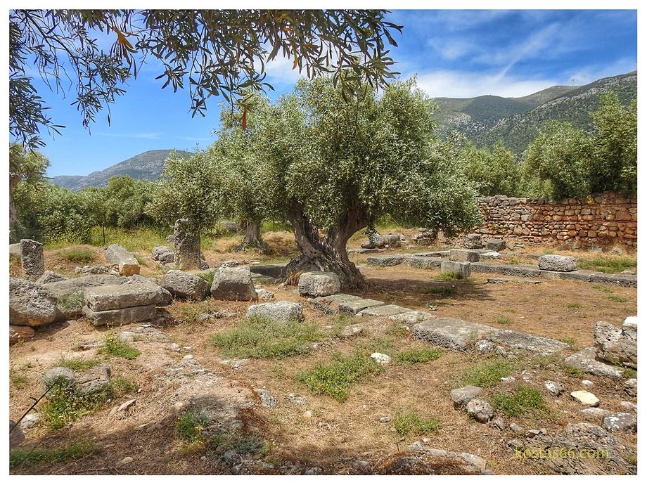 The 5th c AD basilica ruins.