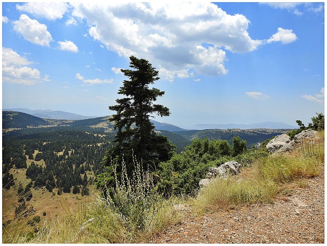 The view from the Corycian Cave.