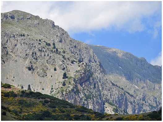 Parnassus seen from Arachova.