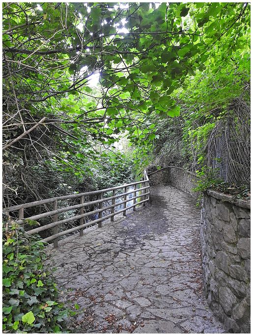 The path (by the stream) leading to the waterfalls.