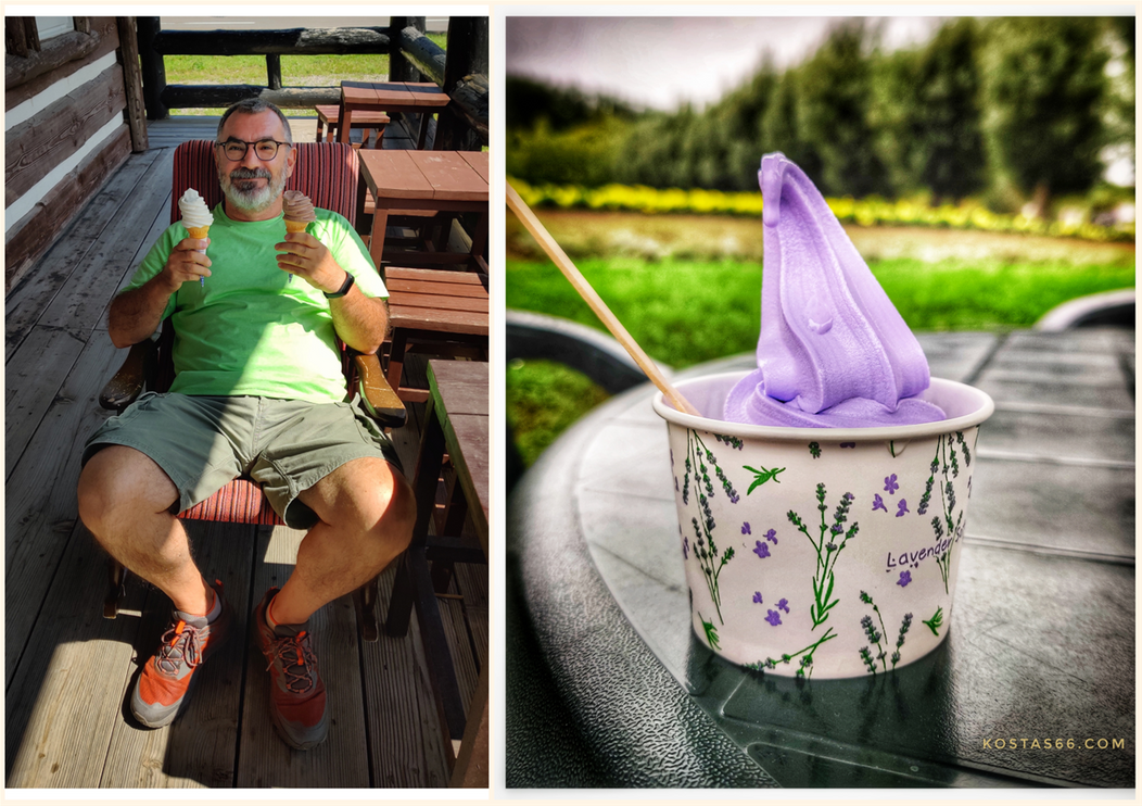 Enjoying two soft cream cones of vanilla and chocolate at a farm outside Otaru (left). Levander soft cream at Farm Tomita, outside Furano.
