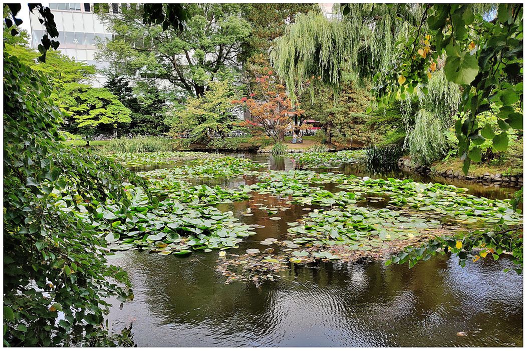 The “Former Hokkaido Government Office” pond.