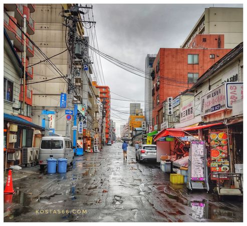 Nijo Market.