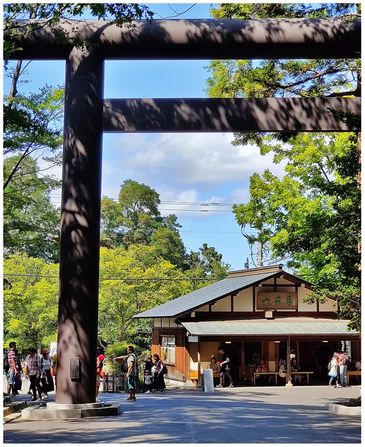 Hokkaido Shrine (the big Torri and the souvenir shop/cafe by the parking).