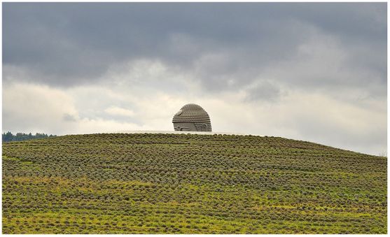 The Hill of Buddha.