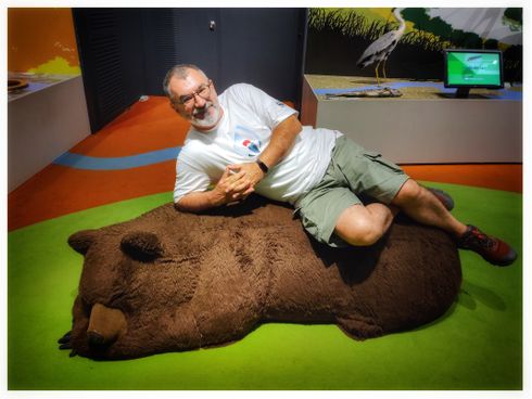 Nopporo Park bears.
