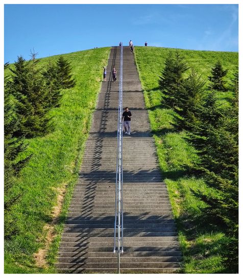 Stairs going up to Mount Moere.