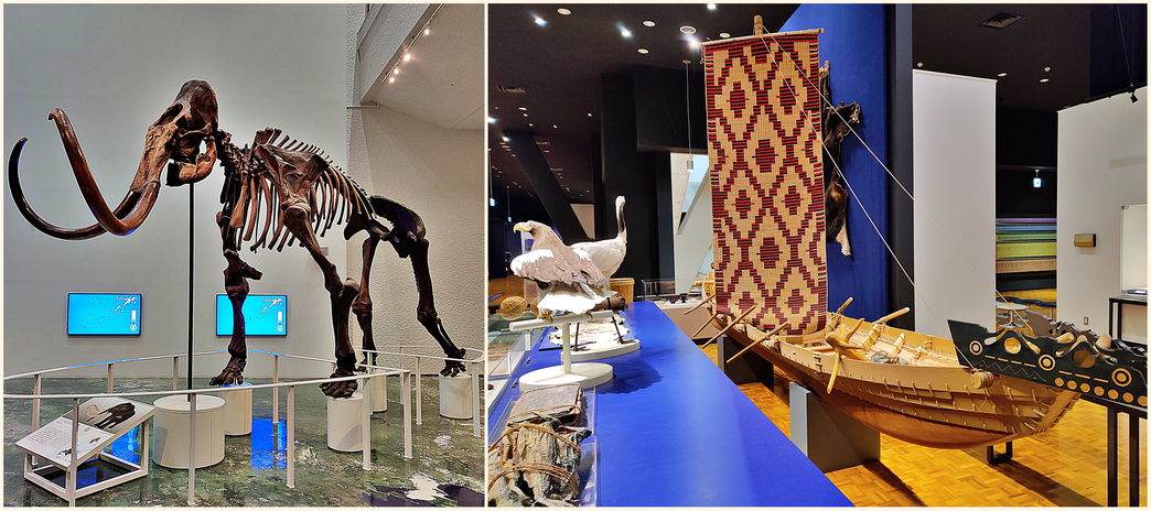 Inside Hokkaido Museum.